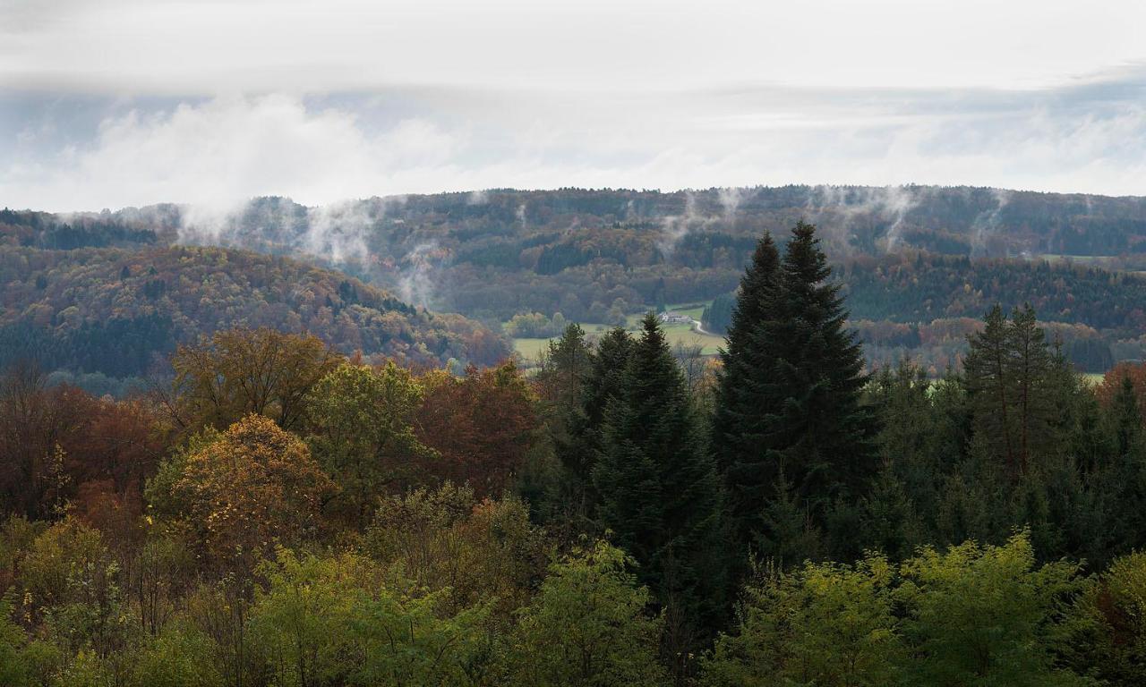Pas De Deux Panzió Sainte-Marie-en-Chanois Kültér fotó